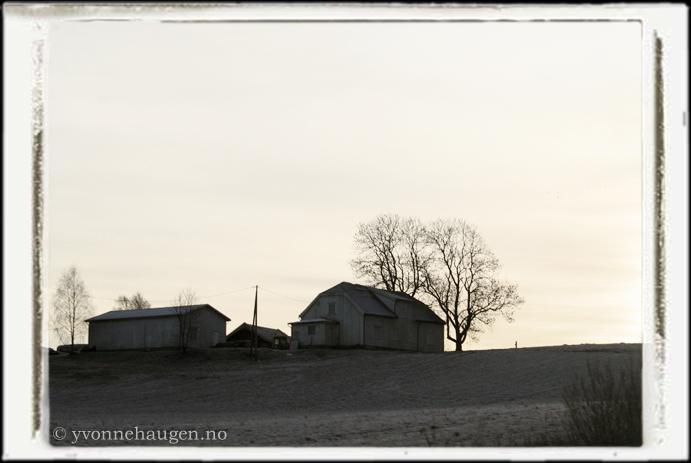 Black and white sunset over farm and tree