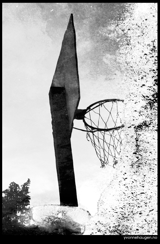 basket-hoop-reflection