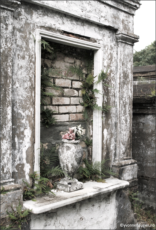 cemetery-new-orleans