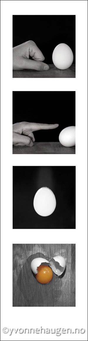 egg yvonne haugen photography