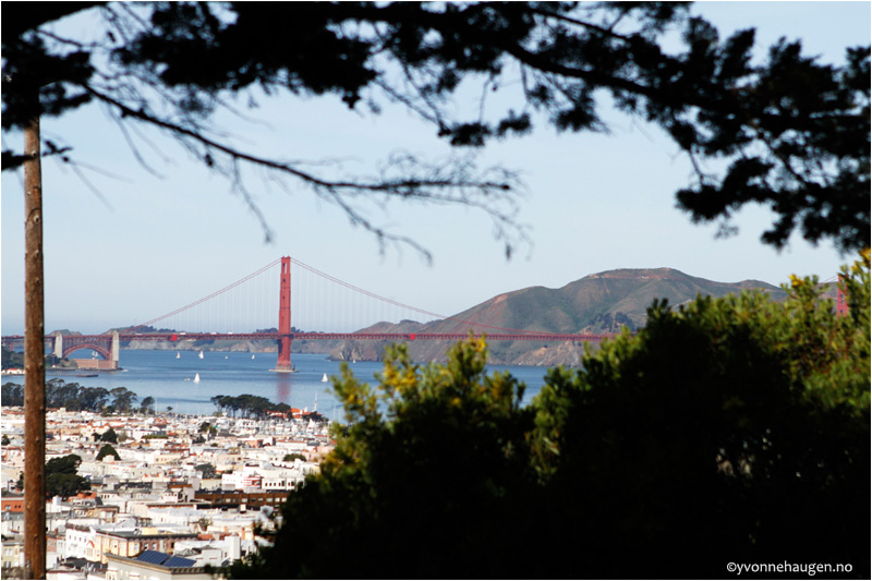 san_francisco_0059